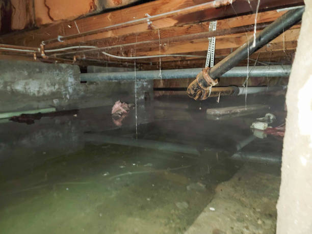Best Residential water damage restoration  in Redmond, WA