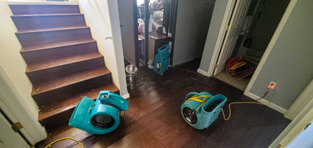 Best Sewage cleanup and water damage restoration  in Redmond, WA