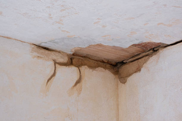 Best Commercial water damage restoration  in Redmond, WA