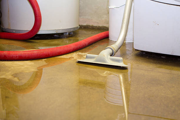 Best Mold removal after water damage  in Redmond, WA