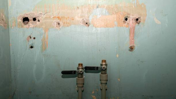 Professional Water damage restoration in Redmond, WA