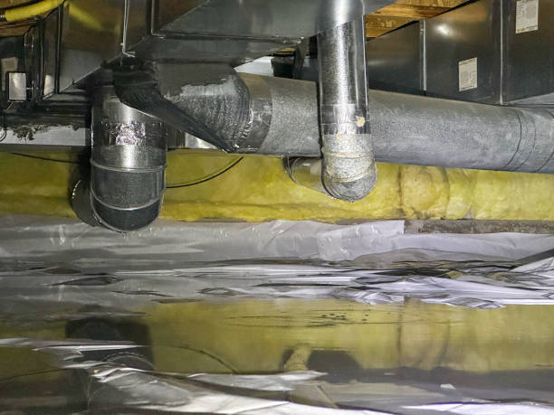 Best Water damage contractors near me  in Redmond, WA