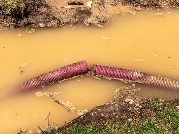 Best Water damage restoration process  in Redmond, WA