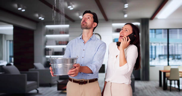 Best Water damage restoration near me  in Redmond, WA