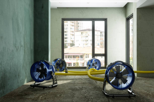 Best Fire Damage Restoration  in Redmond, WA