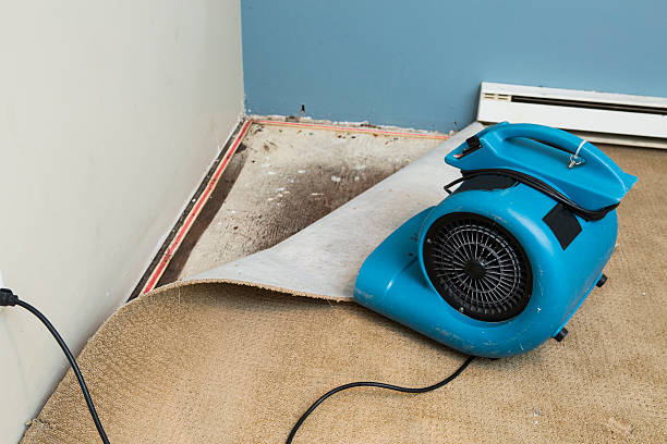 Best Carpet water damage restoration  in Redmond, WA